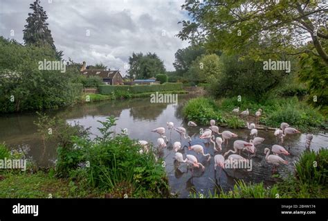 The Cotswolds in Gloucestershire Stock Photo - Alamy