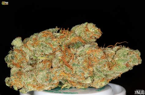 AK-47 hybrid Cannabis Strain | Quick Weed Delivery | Pot Valet