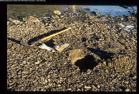 Exxon Valdez Oil Spill - 0111 | Sample pit with shovel, oil … | Flickr