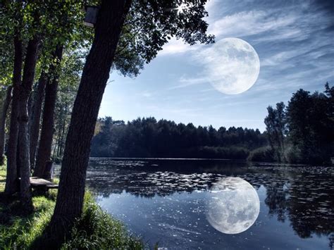 the full moon is reflected in the water near trees and benches on the ...