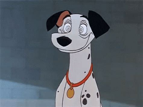 Hypnotized Dalmatian Dog GIF | GIFDB.com