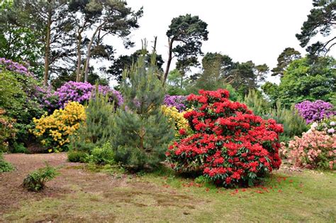 KLF • View topic - SHERRINGHAM PARK 2013