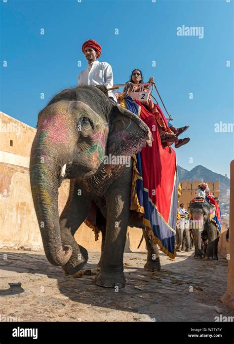 Elephant ride, Indian elephants at Amber Fort, Jaipur, Rajasthan, India Stock Photo - Alamy