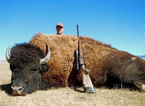 3-DAY BISON HUNT IN COLORADO FOR 1 HUNTER ON 200,000 ACRES OF PRIVATE ...