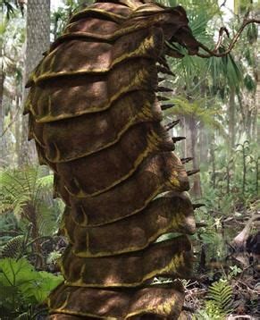 Arthropleura armata | Prehistoric insects, Prehistoric animals, Arthropods