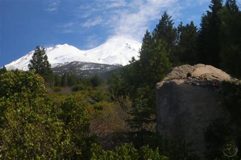 2021 Mount Shasta Spring Hiking Round Up – Hike Mt. Shasta