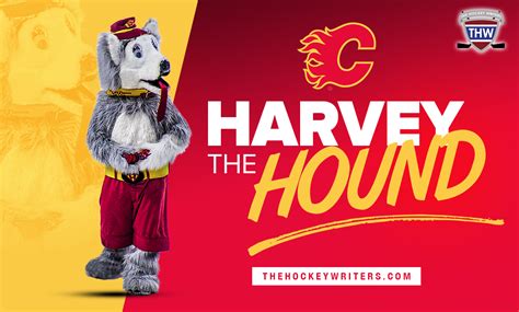 Calgary Flames' Harvey the Hound Ranked 2nd-Worst Mascot