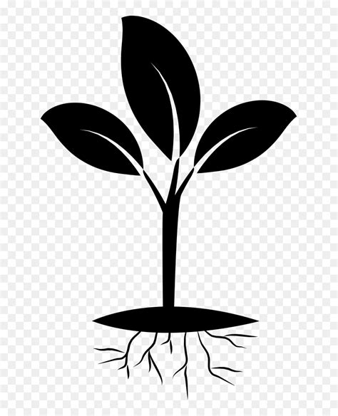 Free Plant Roots Png - Plant Clipart Black And White Png, Transparent Png - vhv