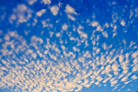 Cirrus Clouds in Sky · Free Stock Photo