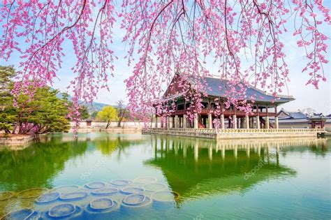 Gyeongbokgung Palace with cherry blossom in spring,South Korea. — Stock Photo © praewa ...