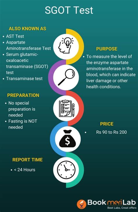 SGOT Test - Price, Purpose, Results & Report [2024]