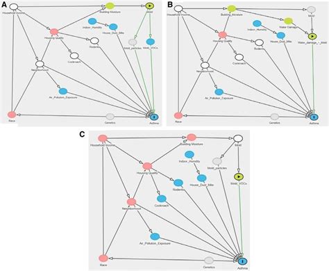 Directed acyclic graph 18 for the three exposures of interest. Each ...