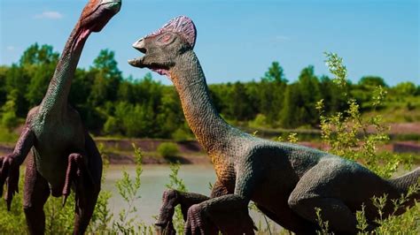 The first cloned dinosaur in history - YouTube