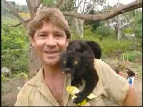 Steve Irwin Tribute 60.mov - YouTube