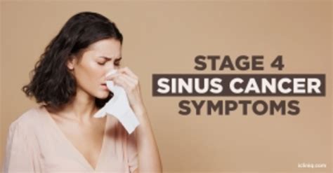 Health Articles in Stage 4 Sinus Cancer