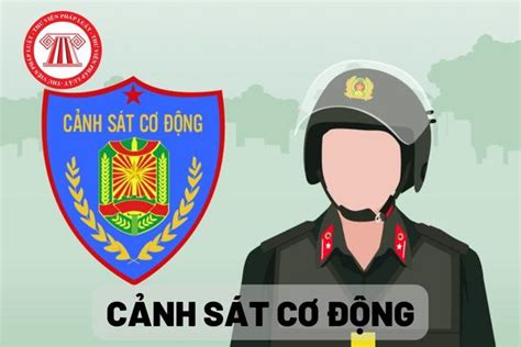 Nhiệm vụ và quyền hạn của lực lượng Cảnh sát cơ động khi thực hiện hoạt động tuần tra, kiểm soát ...