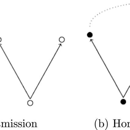 Vertical and horizontal modes of transmission. a Vertical transmission... | Download Scientific ...