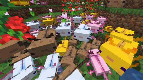 Minecraft Axolotl Colors Blue : Summon selected colored axolotl, pink, brown, yellow, white and ...