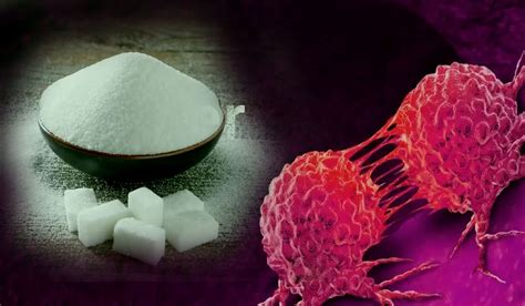 Unraveling the Sugar-Cancer Connection: Myth vs. Reality Explained - SS ...