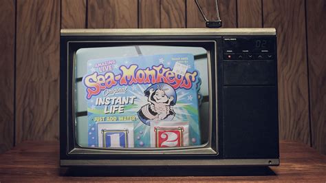 Throwback: The History of Sea-Monkeys | Mental Floss