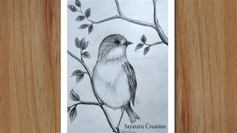 How to draw a Bird Scenery with pencil step by step, Pencil Drawing for ...