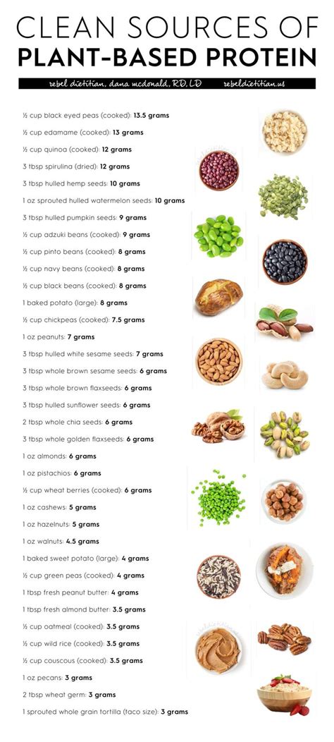 Plant Based Protein Foods Chart - Kimberly Recipe