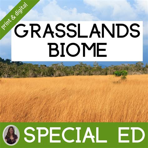 Grasslands Biome for Special Education | Temperate and Savannas ...