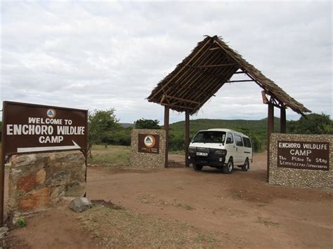 Enchoro Wildlife Camp Location | Masai Mara Tented Camps