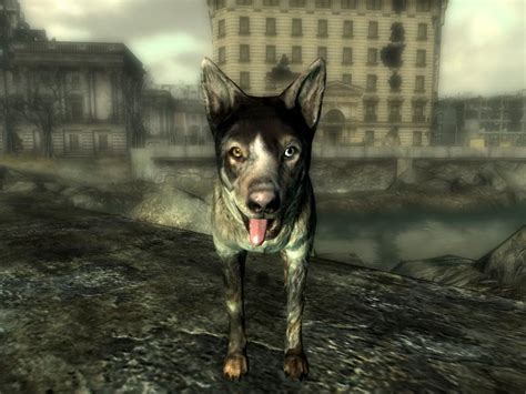 Fallout’s Best Companions - Paste Magazine