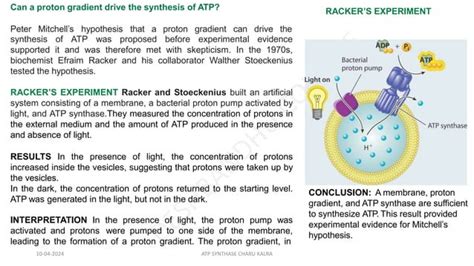 ATP SYNTHASE STRUCTURE ATP SYNTHESIS.pptx