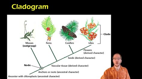 Bio 17.2.2 - Cladistics and Cladograms - YouTube