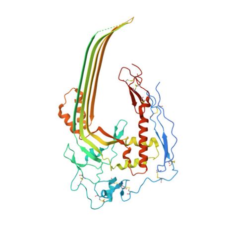 RCSB PDB - 8B0G: 2C9, C5b9-CD59 structure