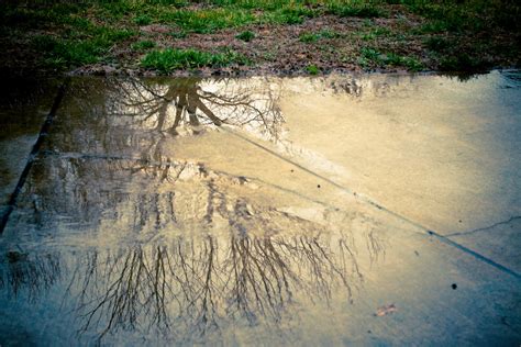 .: POTD January 21 - Rainwater reflection