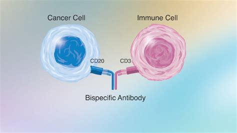 How Bispecific Antibodies Work - Dana-Farber