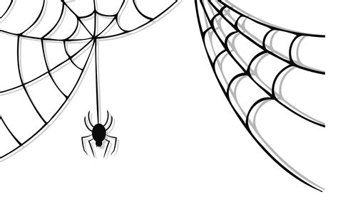 Spider Web Art - Cliparts.co