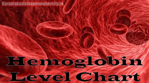 Hemoglobin Level Chart Low, Normal, High Levels for Adults & Children