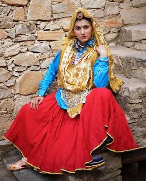 Haryanvi daman | Traditional indian dress, Indian dresses traditional ...