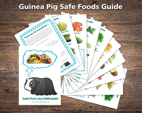 Guinea Pig Food List Printable PDF Safe Fruits & Vegetables - Etsy UK