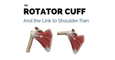 Rotator Cuff Problems and Shoulder Pain - Gray Chiropractic St ...