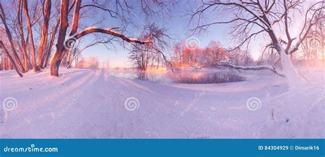 Winter sunrise in forest stock image. Image of fresh - 84304929