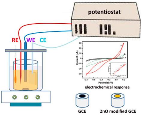 IJMS | Free Full-Text | A Review of Sensors and Biosensors Modified with Conducting Polymers and ...