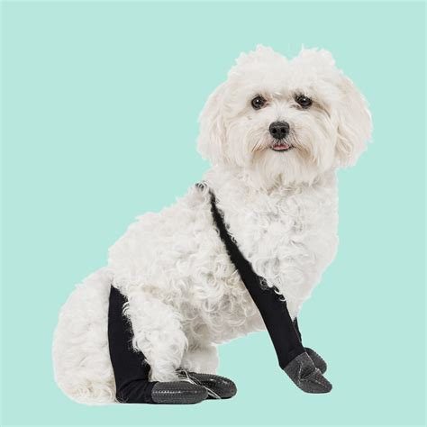 Walkee Paws Snug Fit Outdoor Leggings - PawFlex | Paw Bandages for Dogs ...