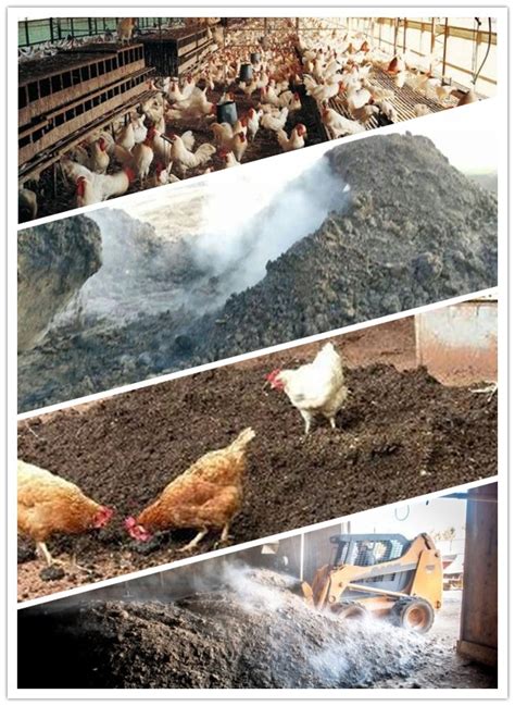 chicken manure composting | BackYard Chickens - Learn How to Raise Chickens