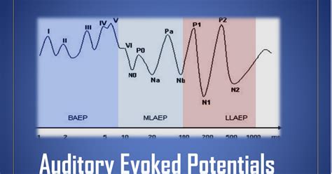 Auditory Evoked Potential overview(1).pdf - Google Drive