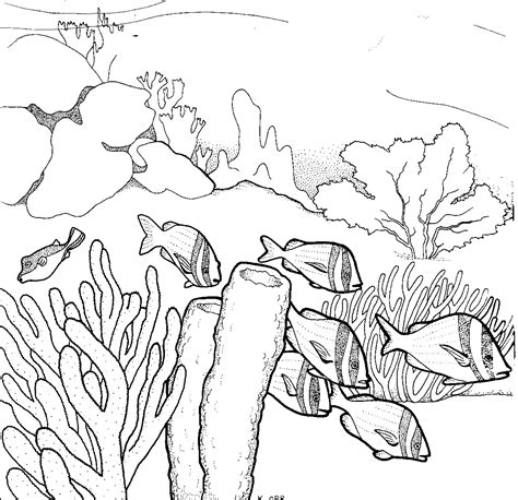 Free coloring pages of great coral reef