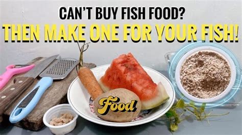 Fish Food for Small Fish, Guppy & Fry’s DIY | Homemade Fish Food Powder ...