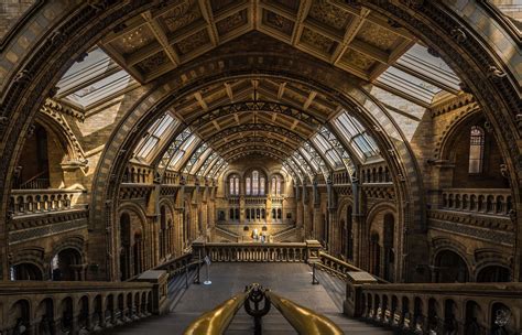 Natural History Museum - London UK | Natural history museum london, Natural history, Museum