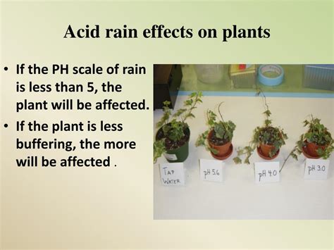 PPT - What is acid rain? PowerPoint Presentation, free download - ID:2811194