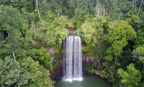 Amazon Jungle Waterfalls and Cave | Manaus Shore Excursion | Brazil Cruise Tours