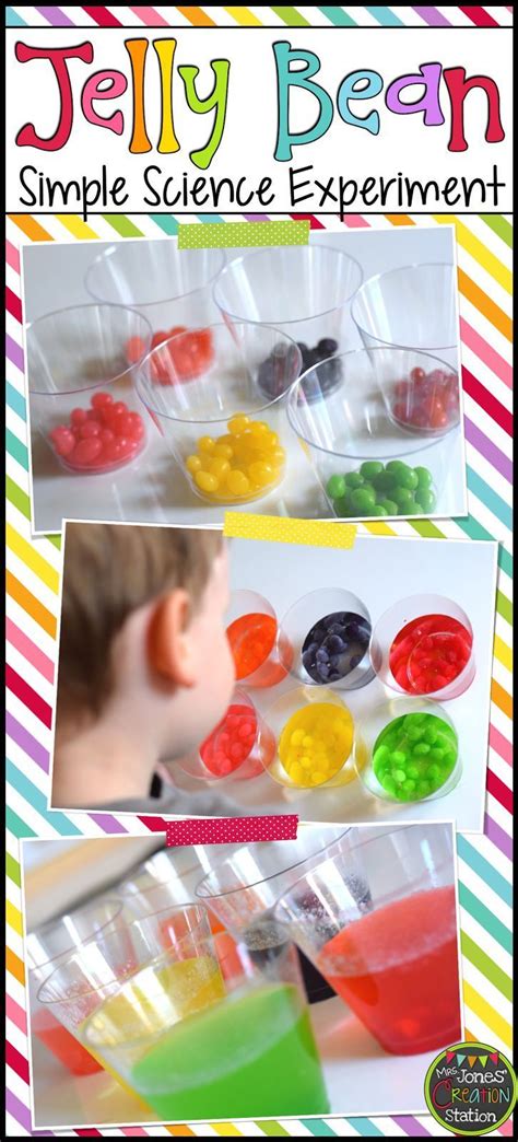 Jelly Bean Simple Science Experiment - Mrs. Jones' Creation Station - Science and Na… | Jelly ...